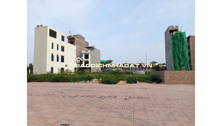 BÁN ĐẤT - ĐƯỜNG BẠCH THÁI BƯỞI, KHU TÁI ĐỊNH CƯ CÂY ĐA 13 GỐC, VĂN CAO, HẢI PHÒNG